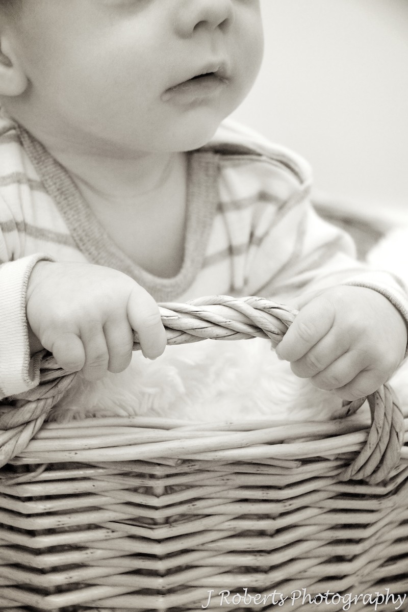 Little baby hands on basket handle - baby portrait photography sydney